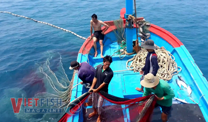 Vietnam Fisheries Magazine – The Fisheries Sector in Vietnam