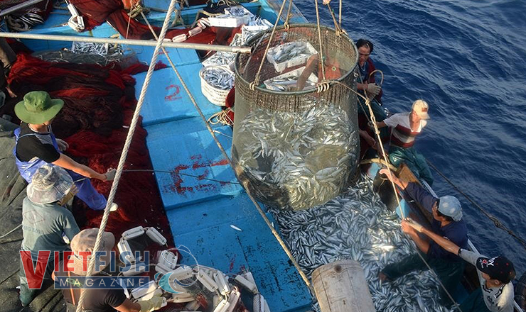 Determine catch quota for fishing boats – Vietnam Fisheries Magazine