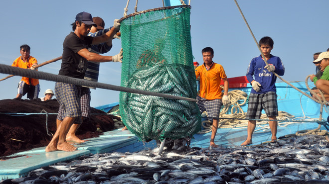 Training course to use Vietnam Fisheries database system – Vietnam  Fisheries Magazine