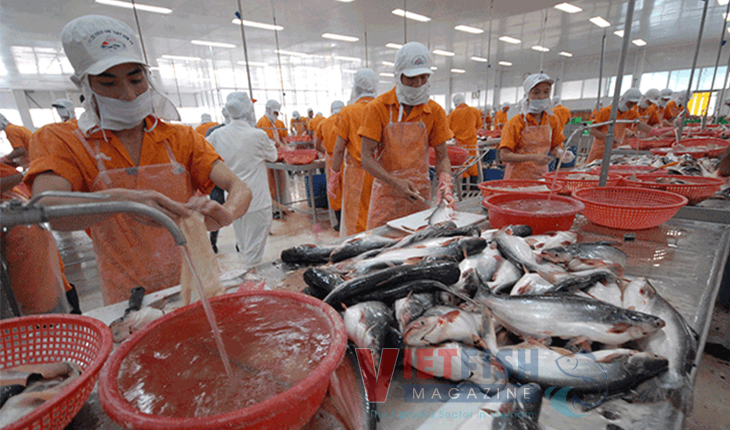 Cold storage is heavily overloaded – Vietnam Fisheries Magazine