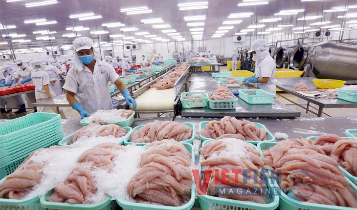 Exports of pangasius to the EU continue to drop – Vietnam Fisheries ...