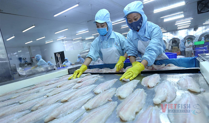 Vietnam to tighten the control of exceeding Chlorate level in pangasius ...