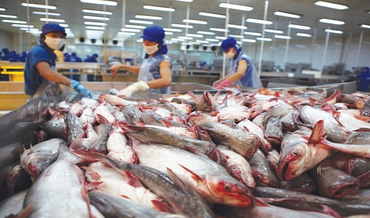 Vietnamese frozen pangasius fillets in high demand in Brazil – Vietnam ...