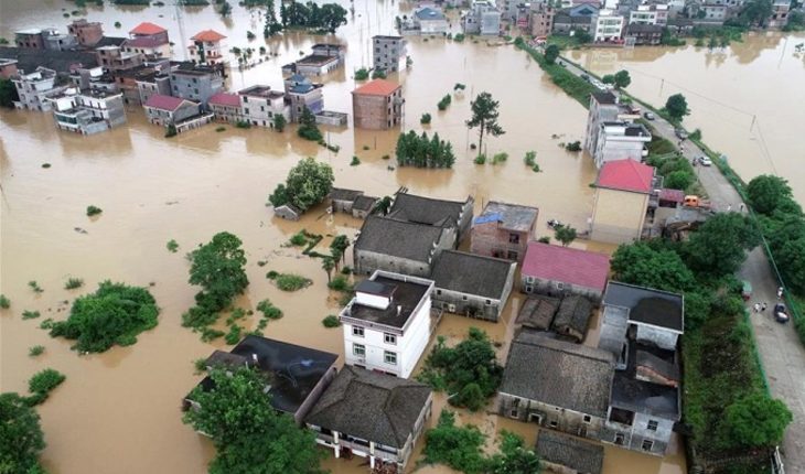 Heavy rains and flood severely damaged agriculture sector - Vietnam ...