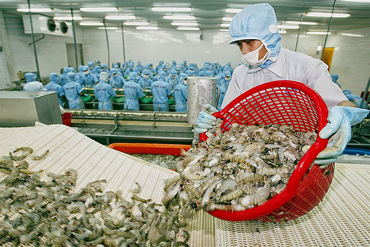 Shrimp Etc China Trade,Buy China Direct From Shrimp Etc Factories at