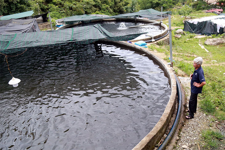 Vietnam - Rice, Aquaculture, Forestry