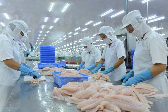 Vietnamese pangasius conquers over 140 markets – Vietnam Fisheries Magazine