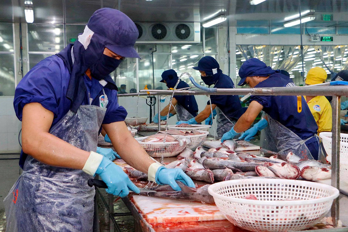 Fish export in 11 months reached 8 billion USD – Vietnam Fisheries Magazine