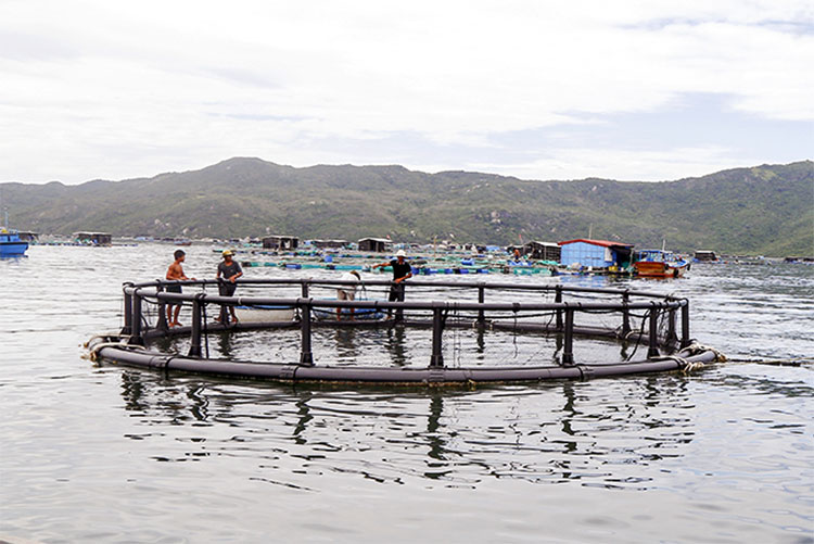 HDPE Circular fish farming Cage