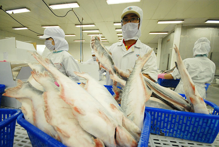 Seafood export value increased by 40% in the first half of 2022 – Vietnam  Fisheries Magazine