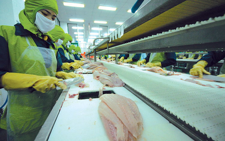 Seafood export value increased by 40% in the first half of 2022