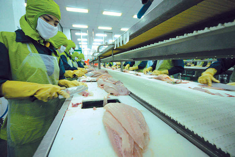 Vietnamese pangasius utilizes advantages in China – Vietnam Fisheries ...