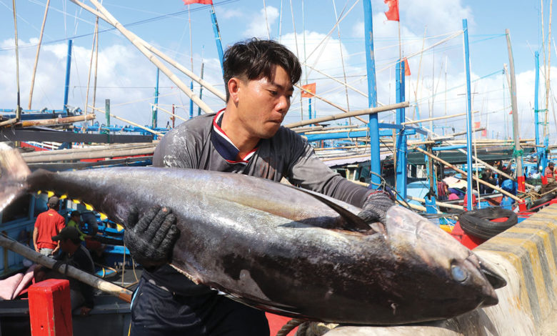 Seafood export value increased by 40% in the first half of 2022 – Vietnam  Fisheries Magazine