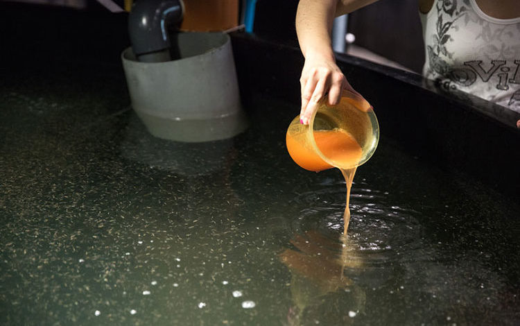 INVE AQUACULTURE announces new technological innovations that will ...