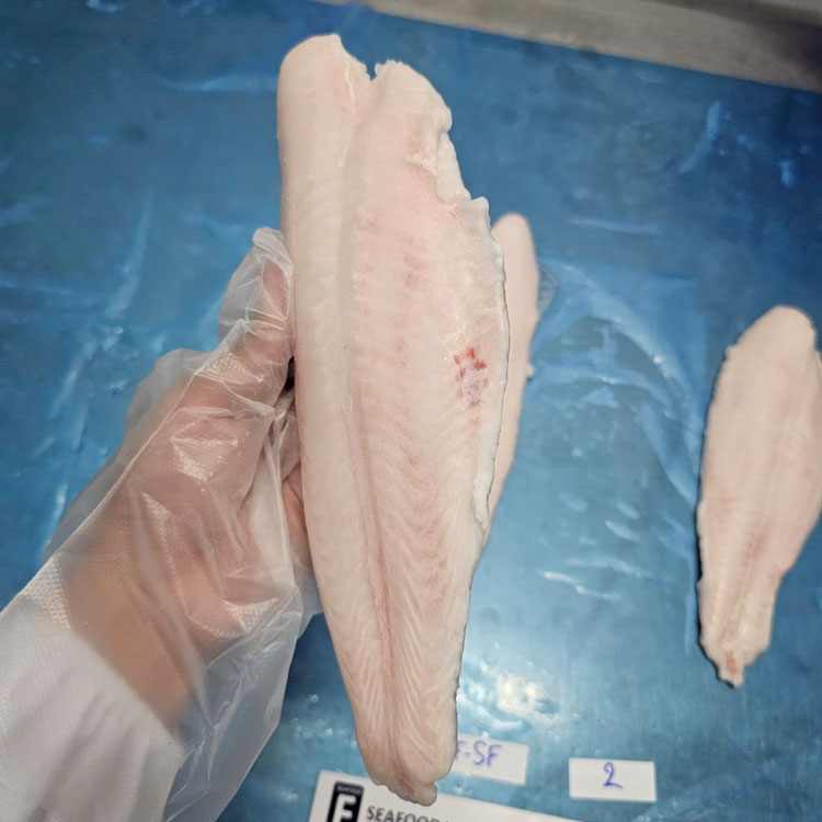 Strict quality control and sensory testing at F Seafood Vietnam processing facility.